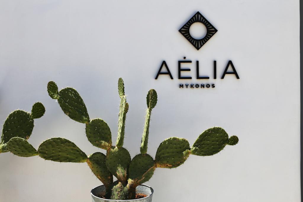 Aelia Mykonos Hotel Ornos  Luaran gambar