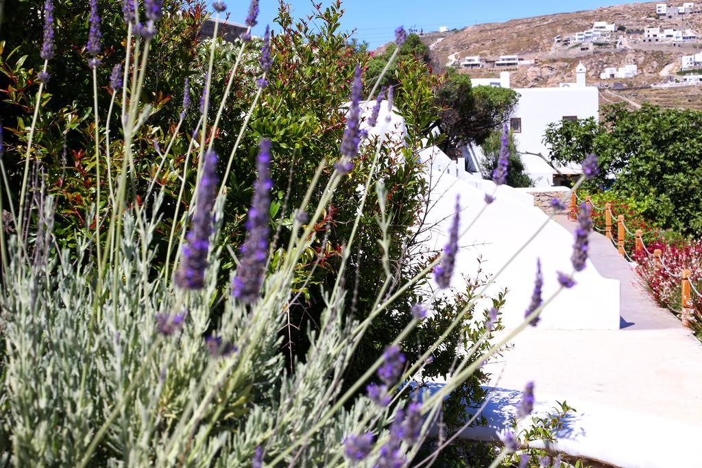 Aelia Mykonos Hotel Ornos  Luaran gambar